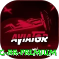 sojupg BR Premium